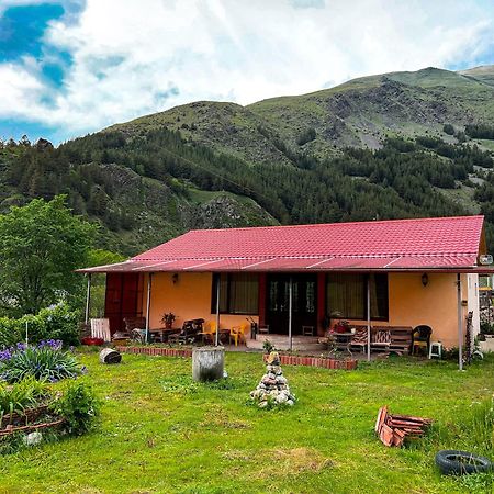 Januka Garden At Sno Villa Kazbegi Luaran gambar