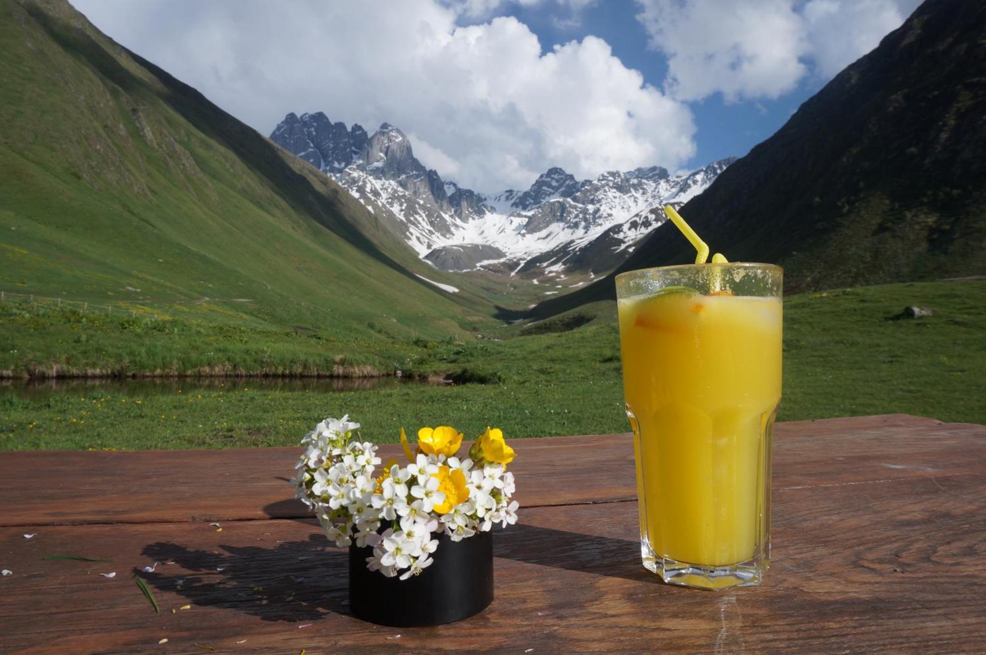 Januka Garden At Sno Villa Kazbegi Luaran gambar