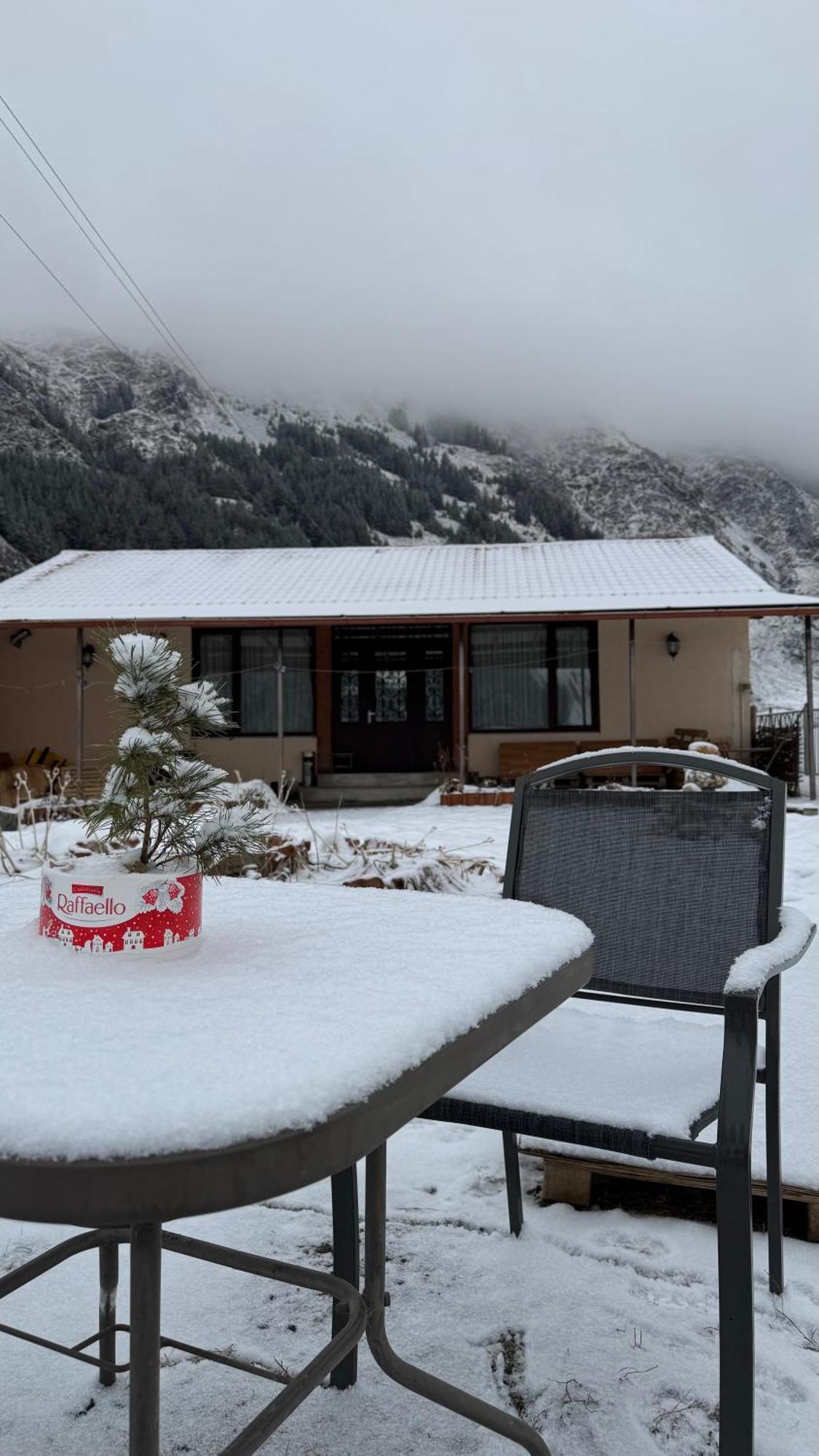 Januka Garden At Sno Villa Kazbegi Luaran gambar