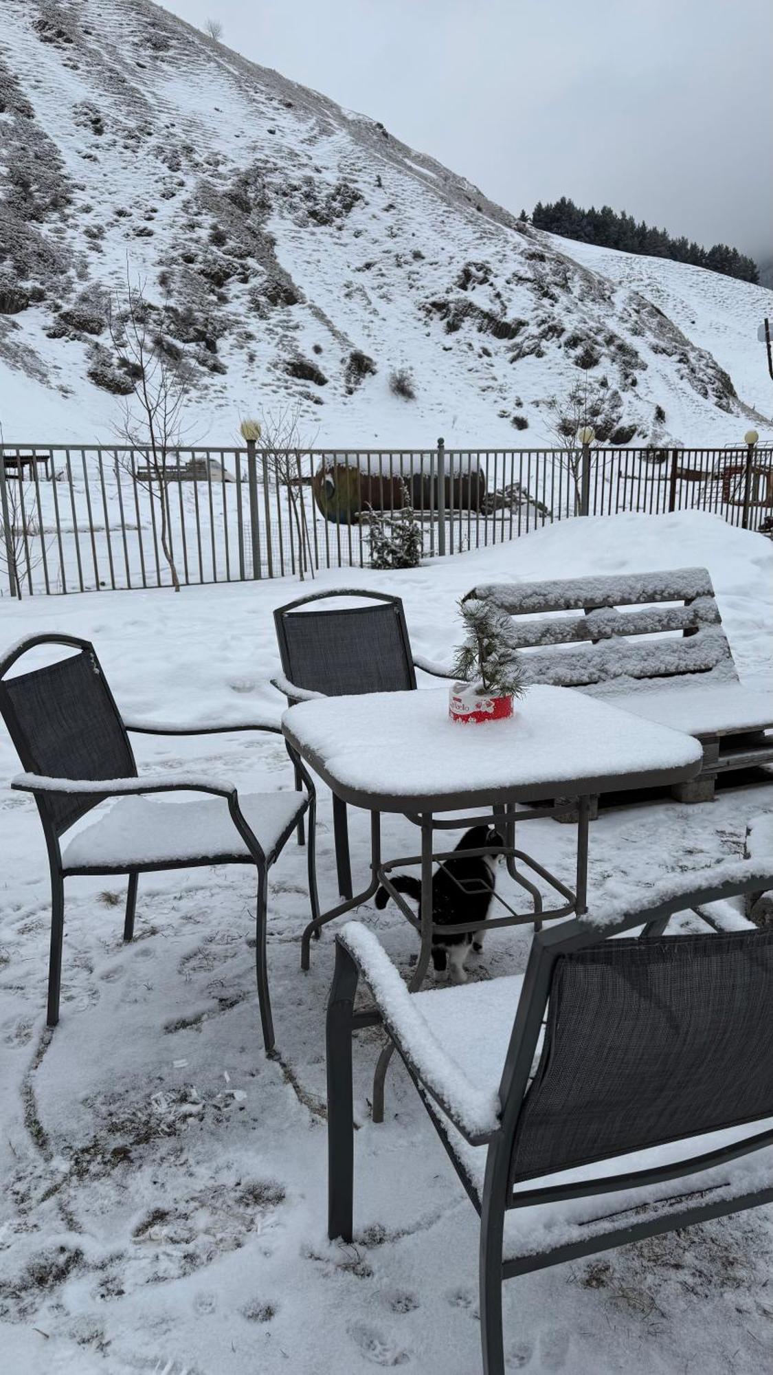 Januka Garden At Sno Villa Kazbegi Luaran gambar