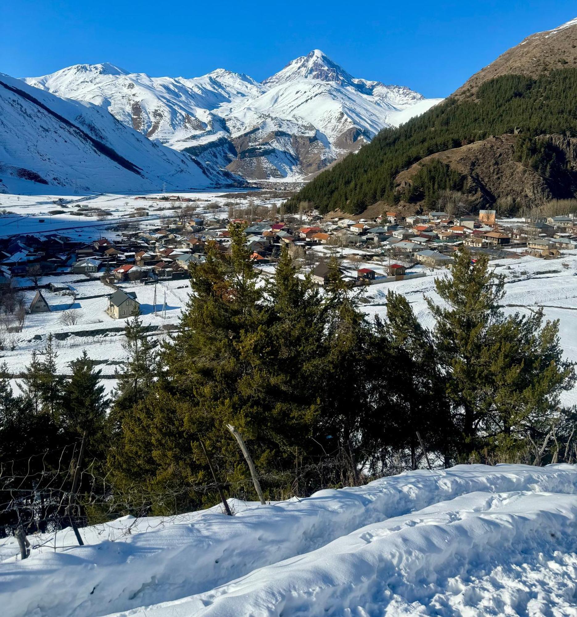 Januka Garden At Sno Villa Kazbegi Luaran gambar